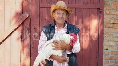一个戴着草帽的老农夫正抱着一只活生生的<strong>白公鸡</strong>。 一个人的肖像上有一只<strong>白公鸡</strong>